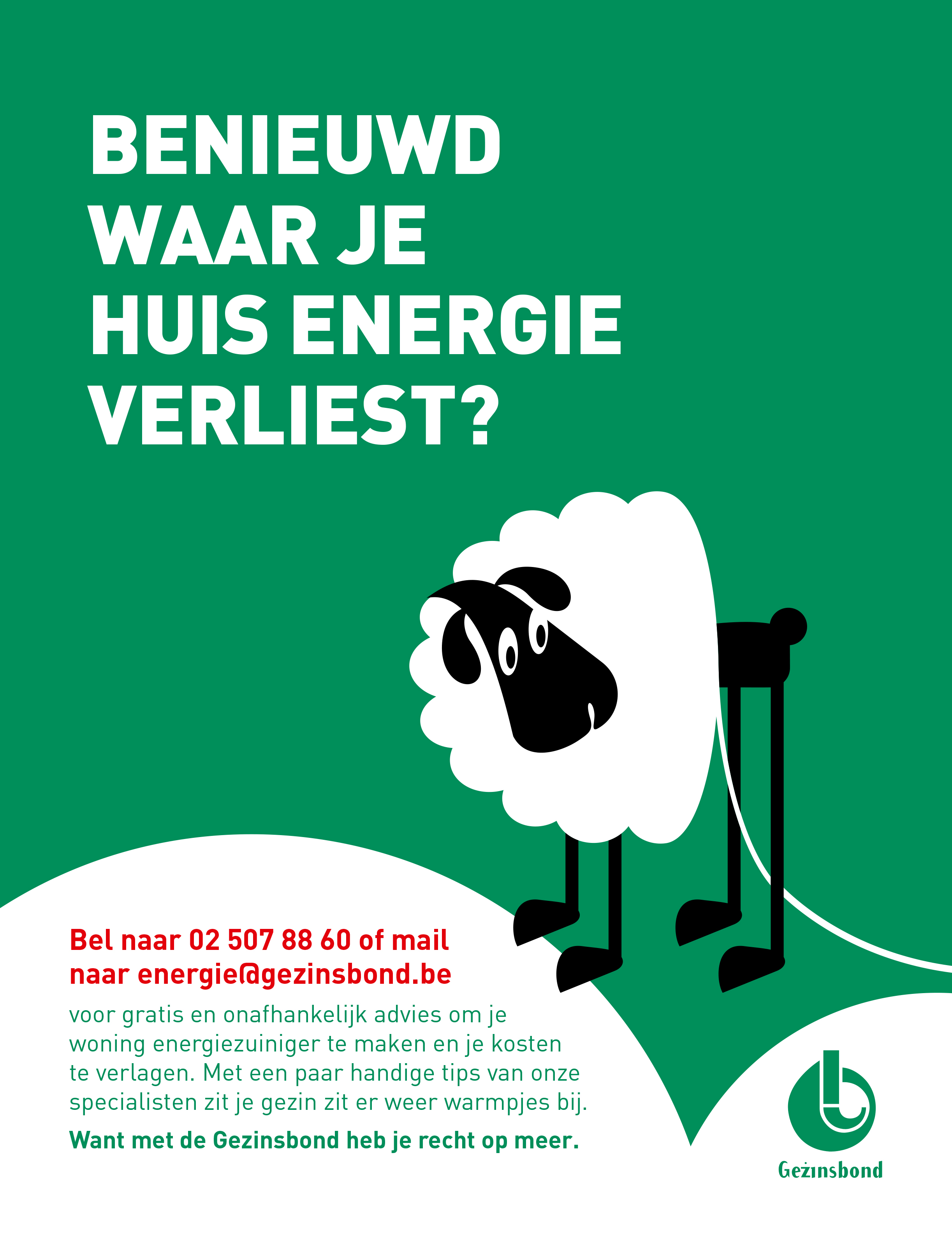 Energieconsulent